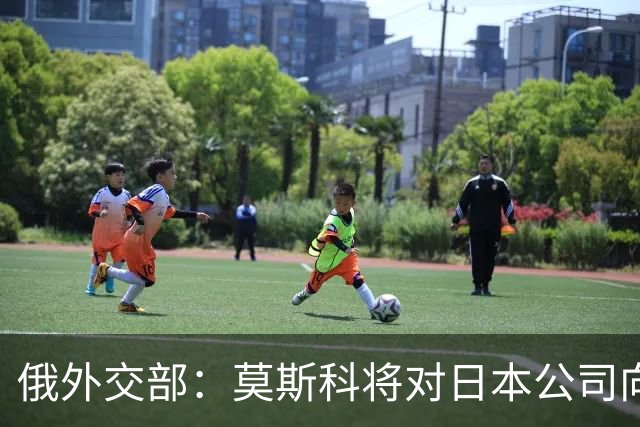 俄外交部：莫斯科将对日本公司向乌供应无人机一事作出强硬回应