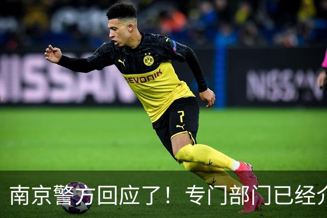 南京警方回应了！专门部门已经介入处理，陈某或遭顶格处理