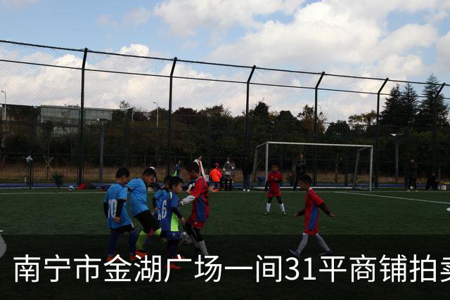 南宁市金湖广场一间31平商铺拍卖，才2.95万就成交，捡漏还是入坑