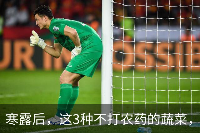 寒露后，这3种不打农药的蔬菜，再贵都要买，强身健体，增免疫