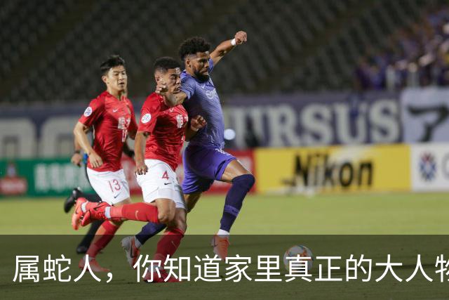 属蛇人，你知道家里真正的大人物是谁吗？
