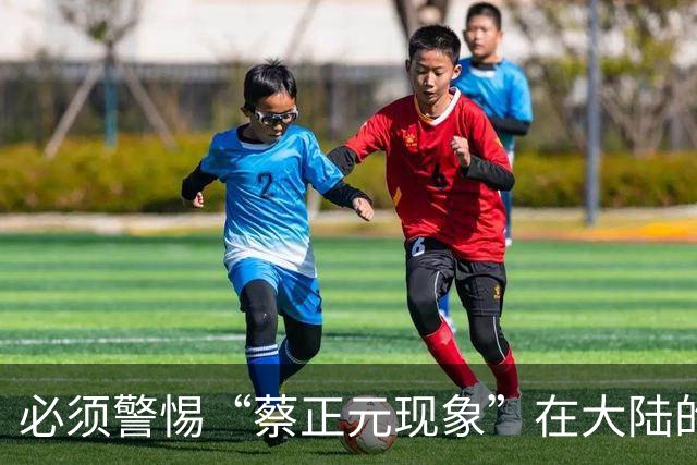 必须警惕“蔡正元现象”在大陆的泛滥