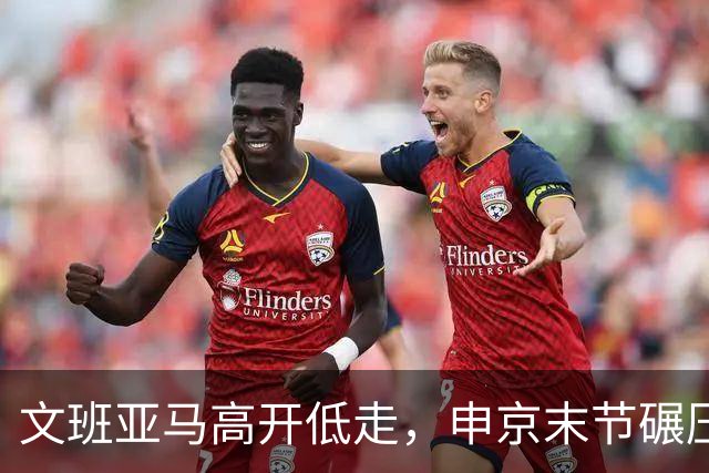 文班亚马高开低走，申京末节碾压马刺内线，火箭险胜卫冕亚军