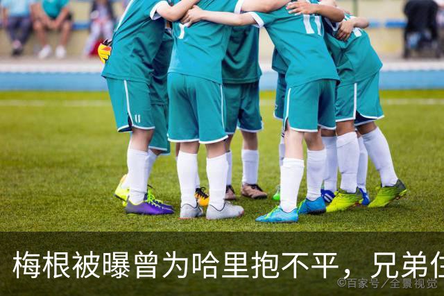 梅根被曝曾为哈里抱不平，兄弟住所差距明显，认为丈夫待遇应更好