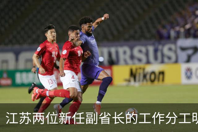 江苏两位新任副省长的工作分工明确了