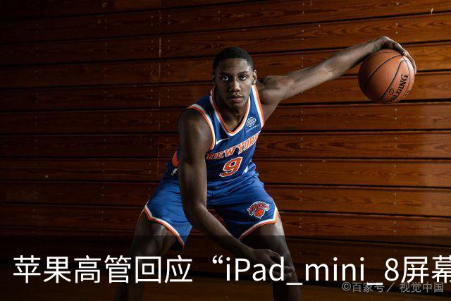 苹果高管回应“iPad mini 8屏幕刷新率为何依然为60Hz”