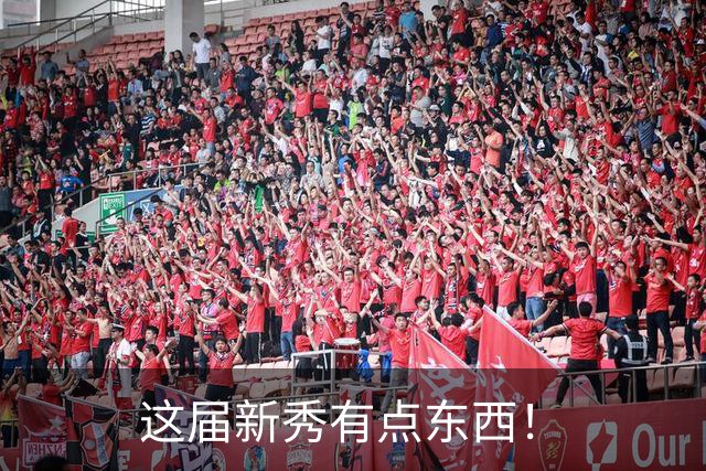 这届新秀有点东西！