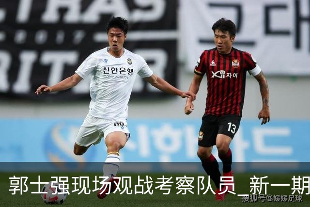 郭士强现场观战考察队员 新一期中国男篮名单悬念待解
